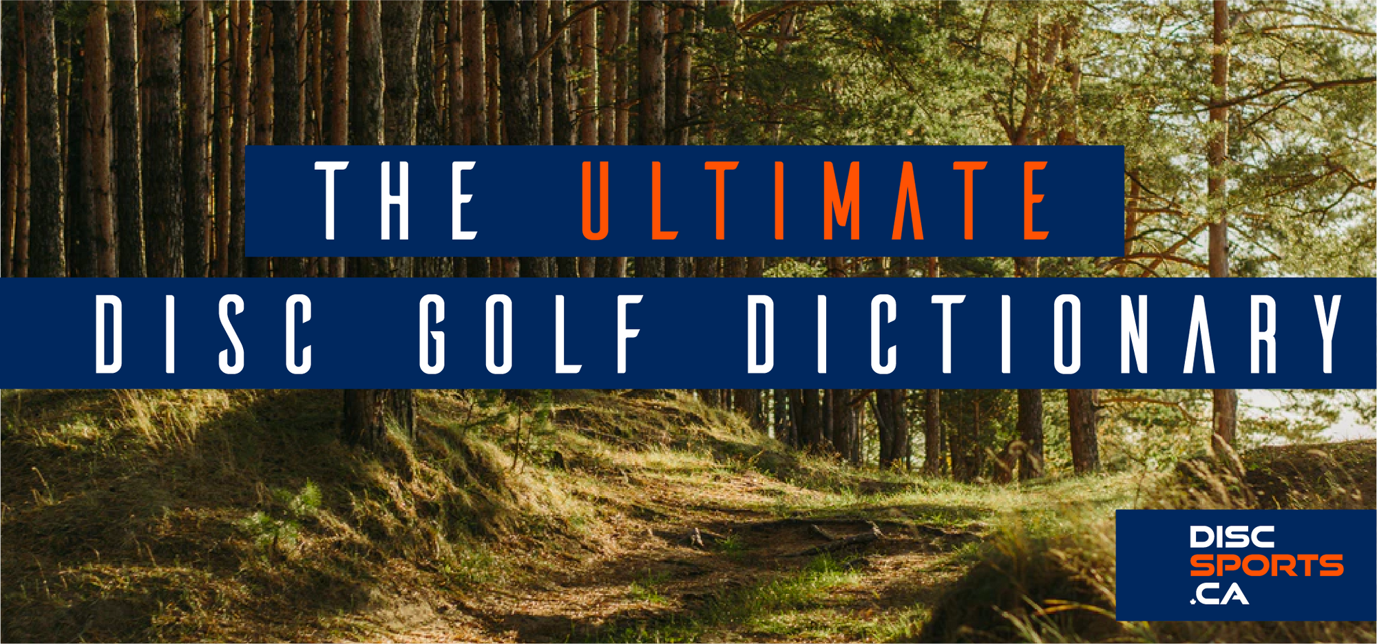 The Ultimate Disc Golf Dictionary